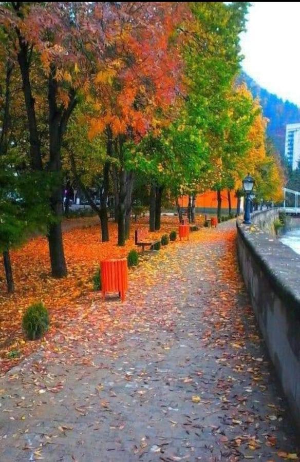 Gamsakhurdia Street Borjomi Exteriör bild