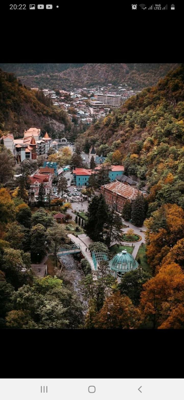 Gamsakhurdia Street Borjomi Rum bild
