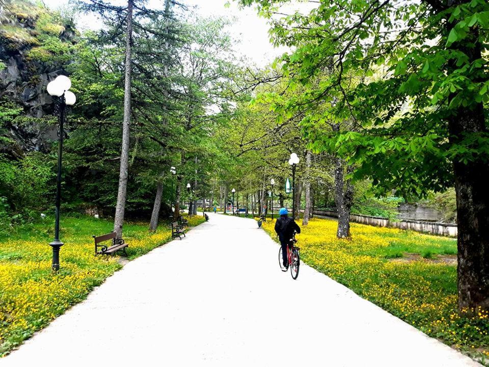 Gamsakhurdia Street Borjomi Exteriör bild