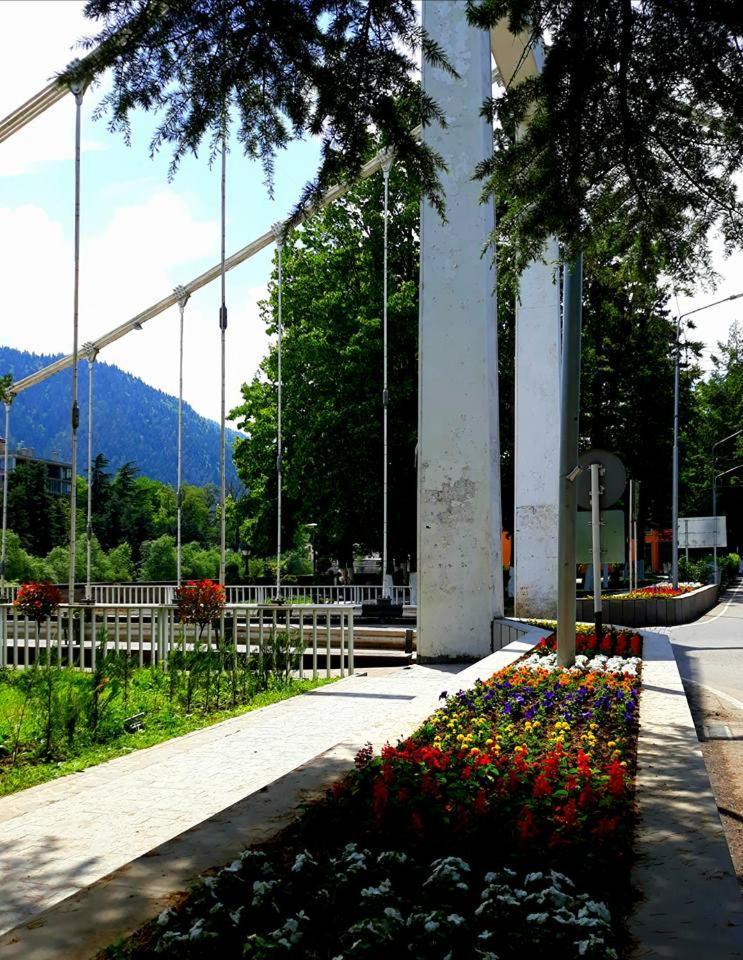 Gamsakhurdia Street Borjomi Exteriör bild